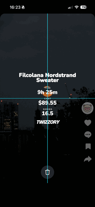 The Twizzory overlay placed on a video clip with alignment guides shown
